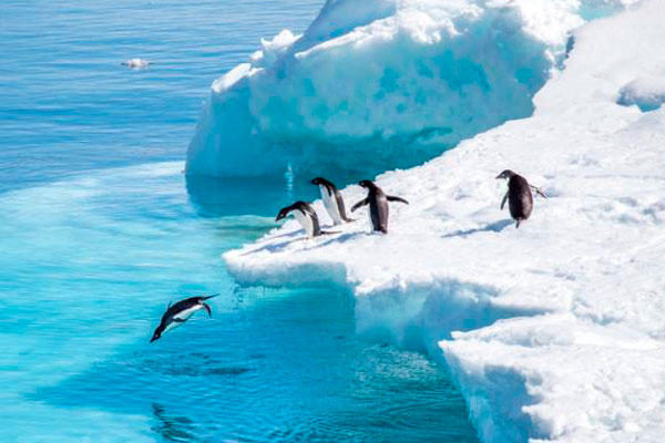View of icebergs from the Celebrity Cruise in Antarctica