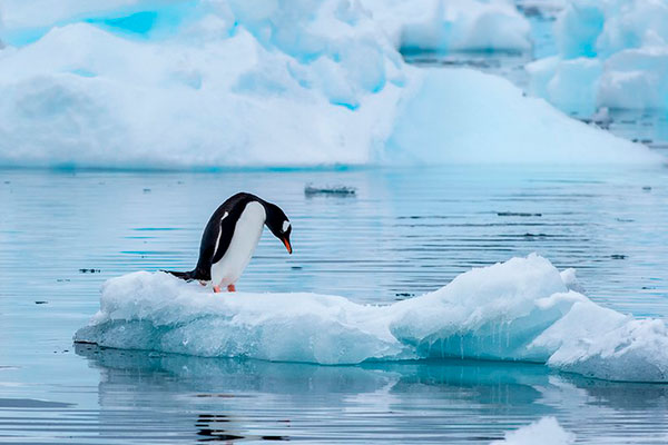 Paisaje glacial en la Antártida desde el Celebrity Cruise