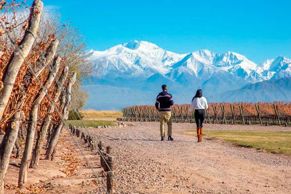 Paseo por los viñedos de Mendoza, Argentina