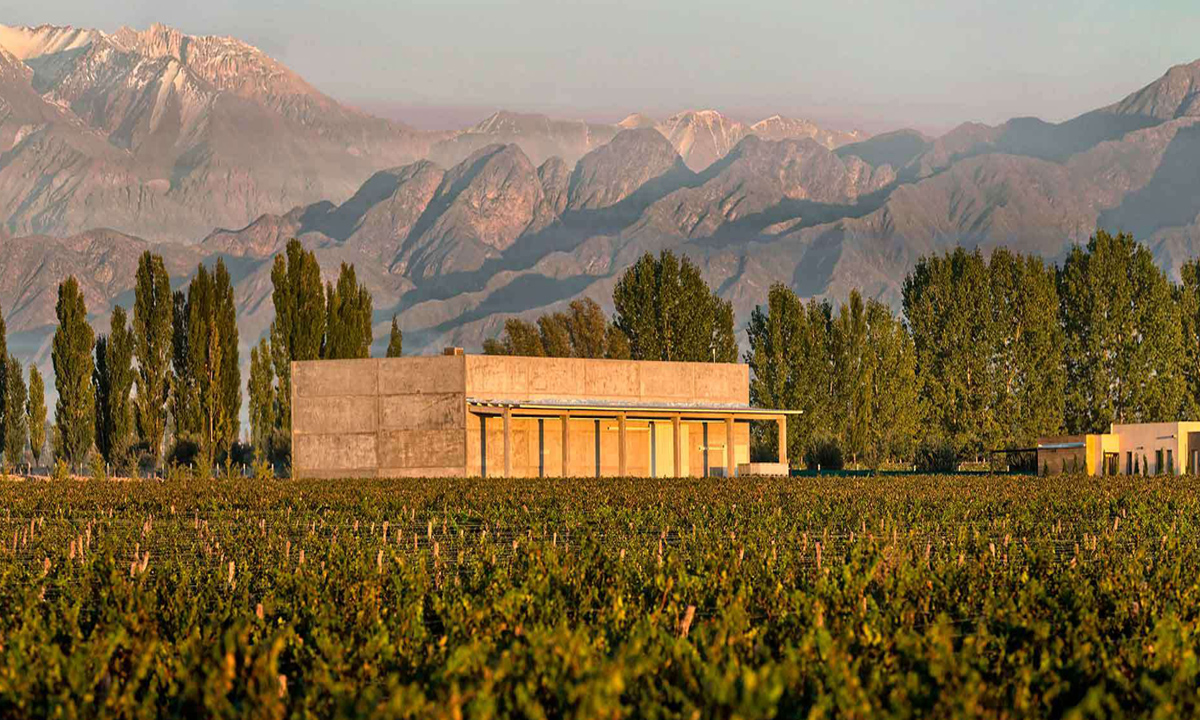 2 Embark on a luxury tour in Mendoza with private vineyard tours, cultural insights, and scenic beauty over 3 unforgettable days, including all-inclusive services