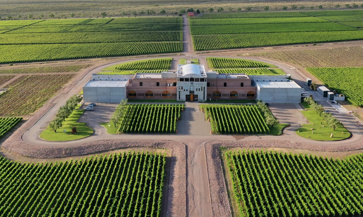 4 Embark on a luxury tour in Mendoza with private vineyard tours, cultural insights, and scenic beauty over 3 unforgettable days, including all-inclusive services