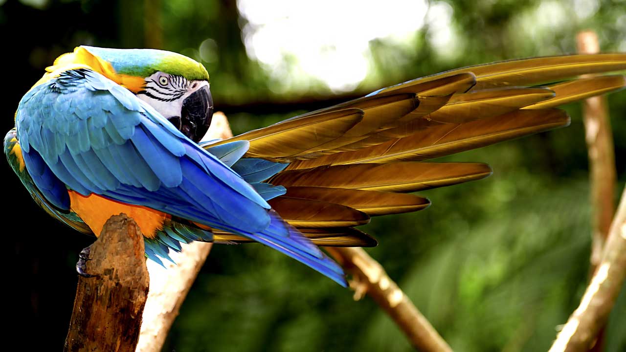 2 Discover the Iguazú Deluxe tour: adventure, culture, and nature. A luxury journey with exclusive activities and premium accommodation.