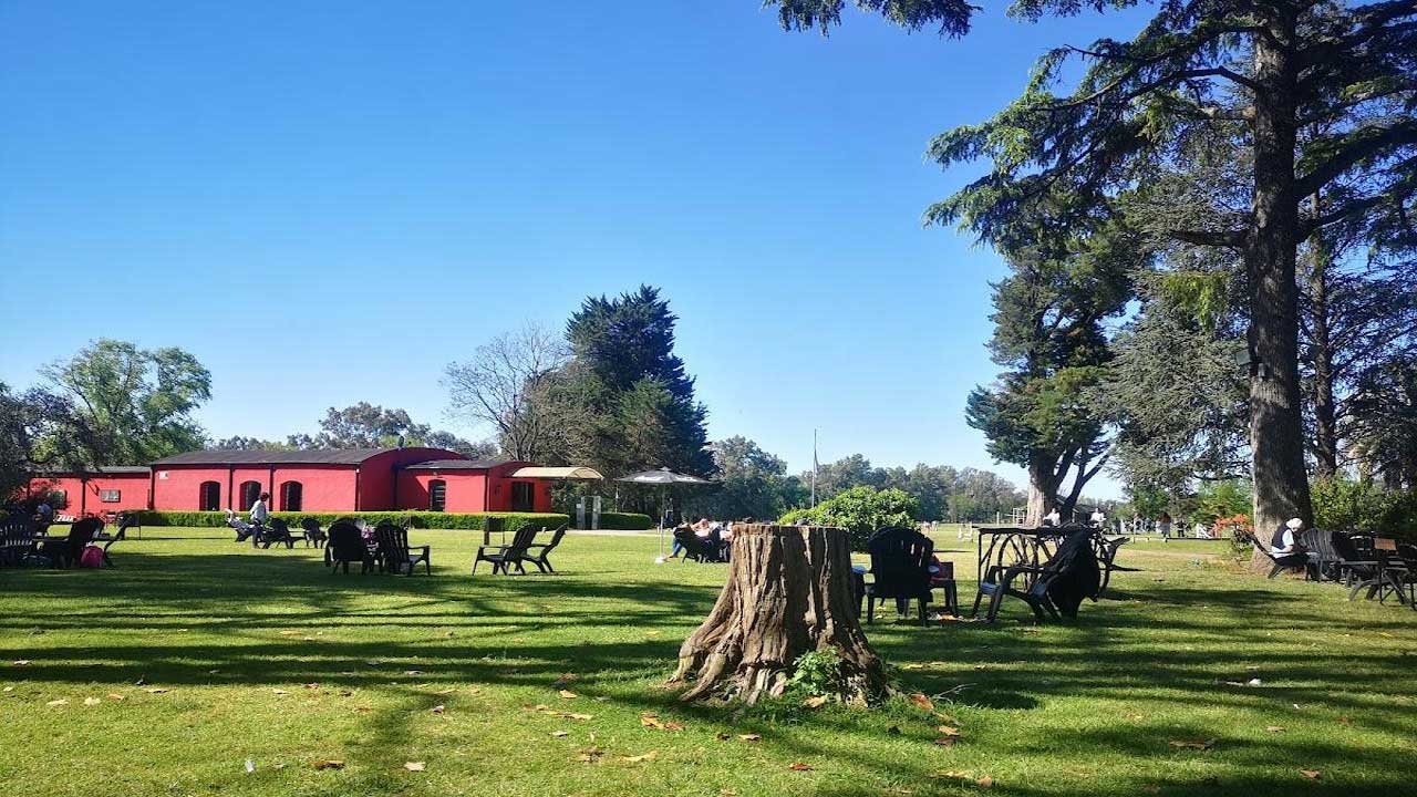 6 Embárcate en una jornada única hacia el corazón de la cultura gaucha con un tour a una estancia tradicional