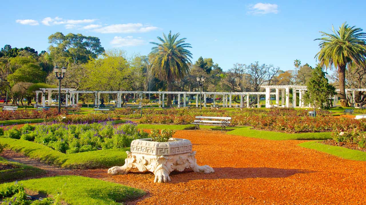 6 Descubre la magia de Buenos Aires en este tour de 3 horas